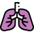 lung icon