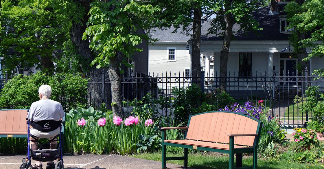 A veteran in a wheelchair enjoys the outdoors by a bench in a garden