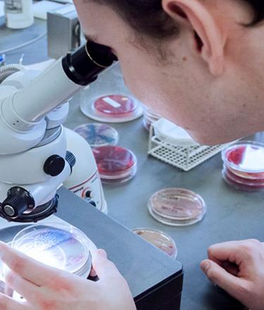 Research assistant looking at DNA through microscope.